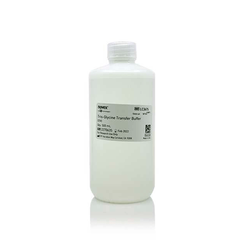 27549. BUFFER DE TRANSFERENCIA TRIS-GLICINA (25X) 500ML INVITROGEN