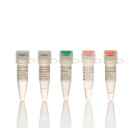 50475. MEZCLA MAESTRA DE SINTESIS ANDC MAXIMA H MINUS 50 REACCIONES - THERMO SCIENTIFIC