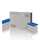 29316. MITOTRACKER DEEP RED FM 20 X 50UG INVITROGEN