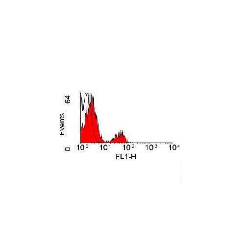 51063. ANTICUERPO CD20 MONOCLONAL ANTIBODY (FMC7) FITC 100 PRUEBAS - INVITROGEN