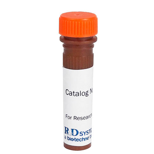 51410. HUMAN/RAT OSTEOCALCIN ANTIBODY 100UG - R&D SYSTEMS
