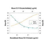 30028. MOUSE CCL11/EOTAXIN ANTIBODY 25UG R&D SYSTEMS
