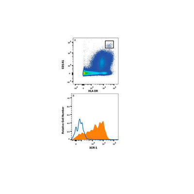 30019. HUMAN XCR1 ANTIBODY 25UG R&D SYSTEMS