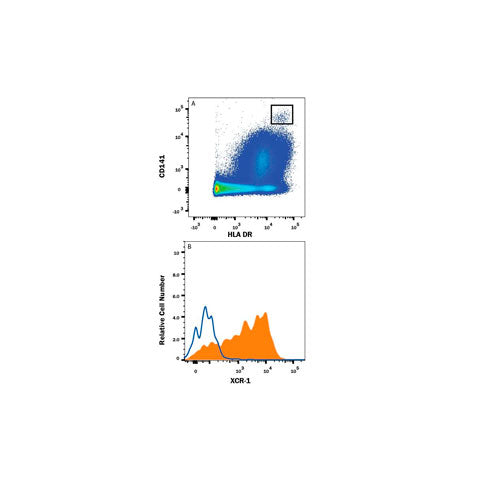 30019. HUMAN XCR1 ANTIBODY 25UG R&D SYSTEMS