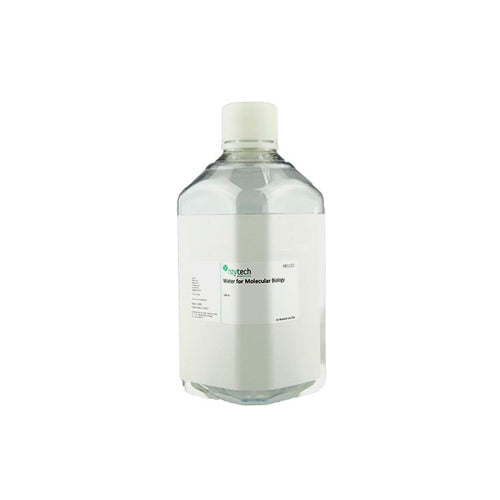 52536. AGUA P/BIOLOGIA MOLECULAR LIBRE DE RNASA, LIBRE DE DNASA Y LIBRE DE PROTEASAS 1000ML NZYTECH