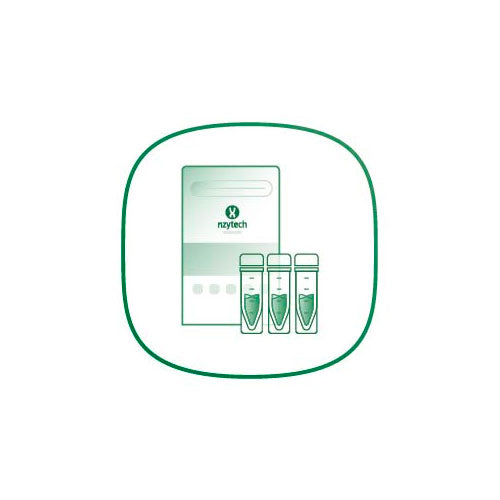 50469. ENZIMA DE RESTRICCION HINFL 2500U - NZYTECH