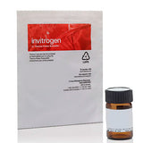 52073. NEUTRAL RED HIGH PURITY 25MG - INVITROGEN