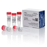 55440. ADN POLIMERASA AMPLITAQ C/BUFFER I 3000U APPLIED BIOSYSTEMS