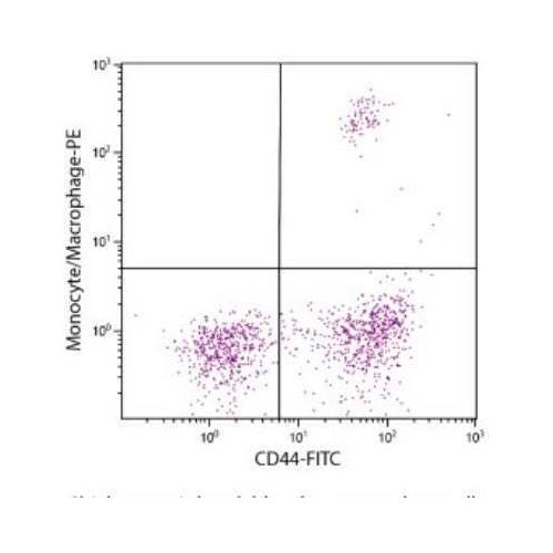 28188. MONOCYTE MACROPHAGE ANTIBODY (KUL01) 0.5MG NOVUS BIOLOGICALS