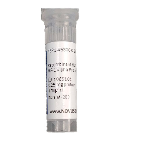 51407. RECOMBINANT HUMAN HIF-1 ALPHA PROTEIN 0.25MG - NOVUS BIOLOGICALS