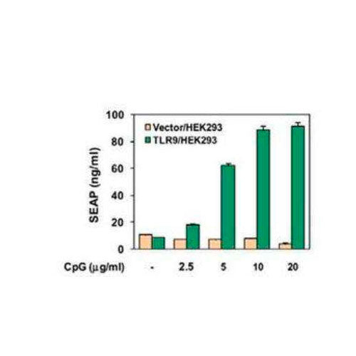 28998. CPG OLIGODEOXYNUCLEOTIDES WITH NEGATIVE CONTROL TLR9 LIGAND 2 VIAL NOVUS BIOLOGICALS