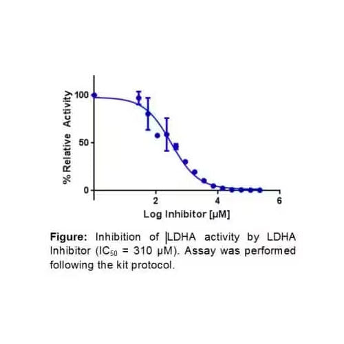 28832. LACTATE DEHYLACTATE DEHYDROGENASE A INHIBITOR SCREENING ASSAY KIT (COLORIMETRIC) 100 ASSAYS NOVUS BIOLOGICALS