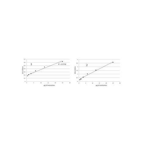 29552. HUMAN EXOSOME (CELL MEDIA) ELISA KIT (COLORIMETRIC) 1KIT NOVUS BIOLOGICALS