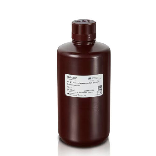 53744. PRO-Q DIAMOND PHOSPHOPROTEIN GEL STAIN 1LT - INVITROGEN