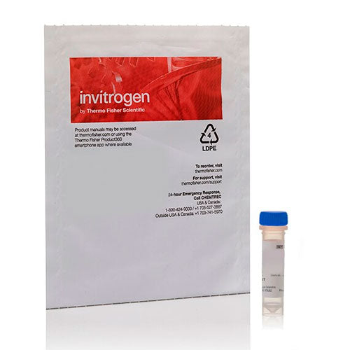 51192. ESTER DE SUCCINIMIDILO PHRODO RED SE 1MG - INVITROGEN