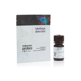 52859. MEDIO DE MONTAJE ANTIDECOLORACION PROLONGUE GOLD C/DAPI 10ML - MOLECULAR PROBES