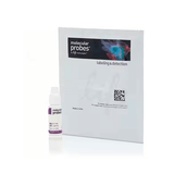 27355. MEDIO DE MONTAJE ANTIDECOLORACION PROLONGUE GOLD C/DAPI 2ML INVITROGEN