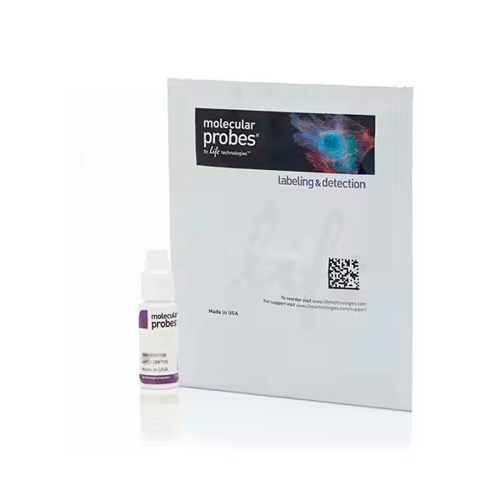 27355. MEDIO DE MONTAJE ANTIDECOLORACION PROLONGUE GOLD C/DAPI 2ML INVITROGEN