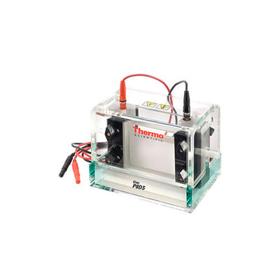 4961. SISTEMA DE ELECTROFORESIS VERTICAL, DOBLE GEL 10X8-10CM, VOLUMEN BUFFER 300ML - OWL