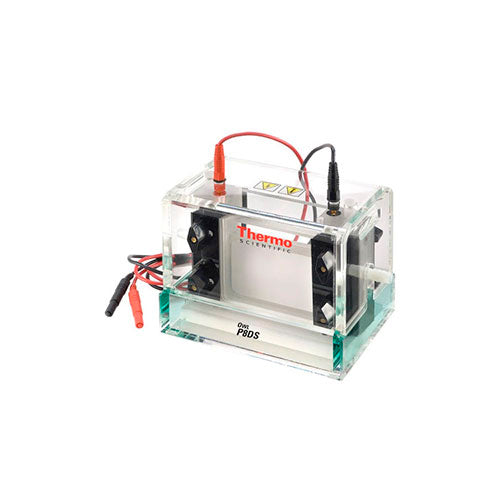 4961. SISTEMA DE ELECTROFORESIS VERTICAL, DOBLE GEL 10X8-10CM, VOLUMEN BUFFER 300ML - OWL