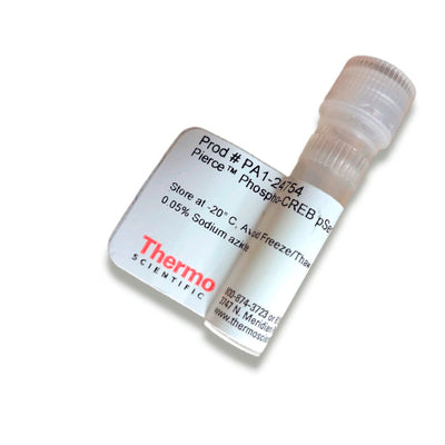 23404. PHOSPO-CREB PSER129/133 ANTIBODY 50UL PIERCE