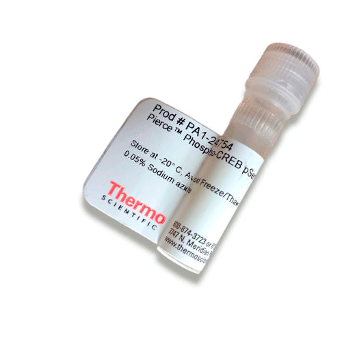 23404. PHOSPO-CREB PSER129/133 ANTIBODY 50UL PIERCE