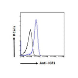 51187. IGF1 POLYCLONAL ANTIBODY 100UG - INVITROGEN
