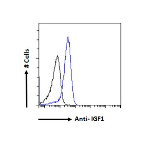 51187. IGF1 POLYCLONAL ANTIBODY 100UG - INVITROGEN