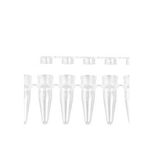50778. MICROTUBOS 0.2ML DE POLIPROPILENO EN TIRA C/8 TUBOS C/8 TAPAS TIPO DOMO - AXYGEN