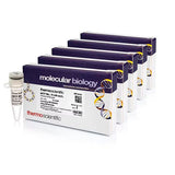 29124. MEZCLA DE DNTP (10MM CADA UNO) 5 X 1.0ML THERMO SCIENTIFIC