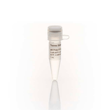 27615. MEZCLA DNTP/DUTP MIX 1ML THERMO SCIENTIFIC