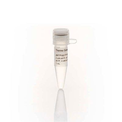 27615. MEZCLA DNTP/DUTP MIX 1ML THERMO SCIENTIFIC
