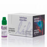 52848.  REACTIVO CASPASA-3/7 VERDE READYPROBES CELLEVENT 1.75ML MOLECULAR PROBES