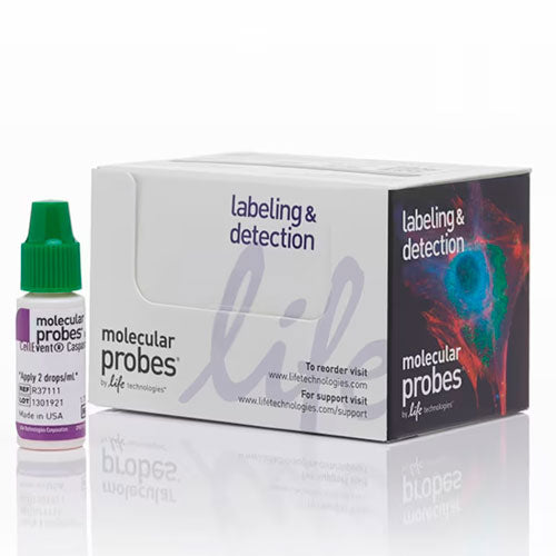 52848.  REACTIVO CASPASA-3/7 VERDE READYPROBES CELLEVENT 1.75ML MOLECULAR PROBES