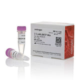 31076. DNTP MIX (2.5MM) 1ML INVITROGEN