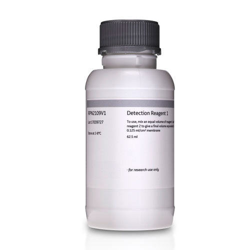30567. KIT DE DETECCION DE TRANSFERENCIA WESTERN ECL AMERSHAM