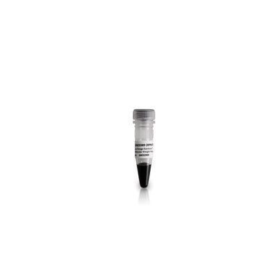 30568. MARCADOR DE PESO MOLECULAR RAINBOW RANGO COMPLETO AMERSHAM