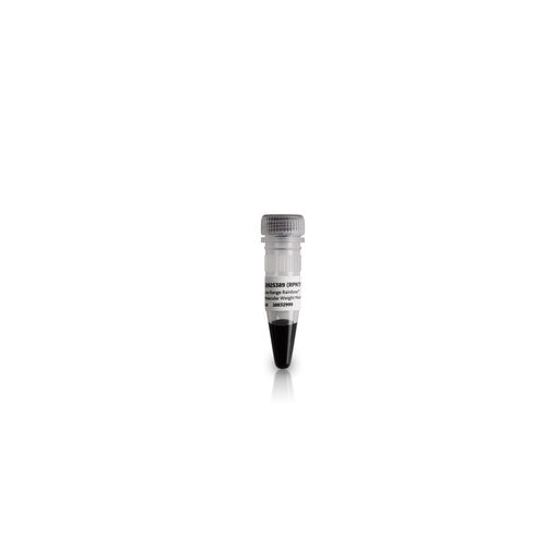 30568. MARCADOR DE PESO MOLECULAR RAINBOW RANGO COMPLETO AMERSHAM
