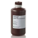 29641. TINCION P/BLOT DE PROTEINAS SYPRO RUBY 200ML INVITROGEN