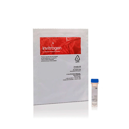 4537. TINCION DE ACIDO NUCLEICO FLUORESCENTE VERDE SYTO 9 100UL - INVITROGEN