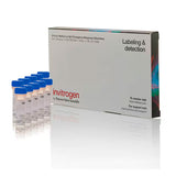 29319. SENSOR DE OXIGENO SINGLET GREEN 10 X 100UG INVITROGEN