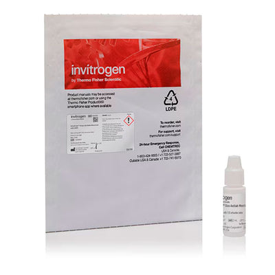51789. MEDIO DE MONTAJE ANTIDECOLORACION SUAVE SLOWFAD GLASS C/DAPI - INVITROGEN