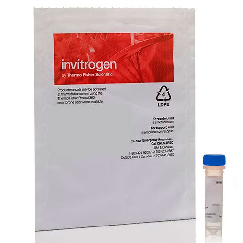 29642. TINCION DE ACIDOS NUCLEICOS SYTOX GREEN, SOLUCION 5NM EN DMSO 250UL INVITROGEN