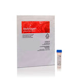 31501. TINCION FLUORESCENTE DE ACIDOS NUCLEICOS SYTO 16 GREEN SOLUCION DE 1MM EN DMSO 250UL INVITROGEN