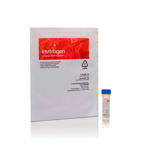 31501. TINCION FLUORESCENTE DE ACIDOS NUCLEICOS SYTO 16 GREEN SOLUCION DE 1MM EN DMSO 250UL INVITROGEN