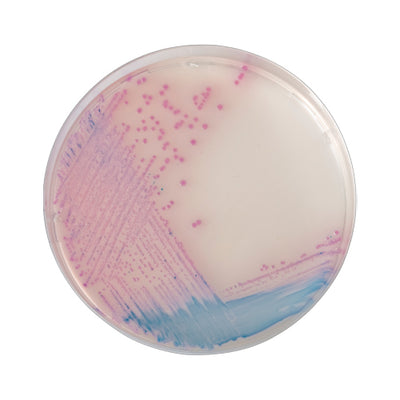 54270. CHROMOAGAR SALMONELLA 5LT CHROMAGAR