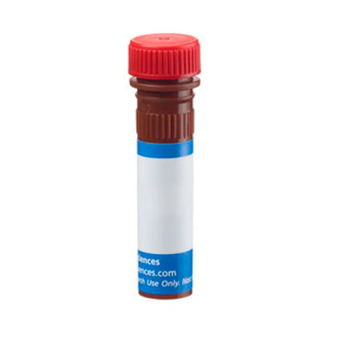 51278. ANTI-MOUSE IGG2A (Y-CHAIN SPECIFIC)-PEROXIDASE ANTIBODY PRODUCED IN RABBIT 1MG - SIGMA-ALDRICH