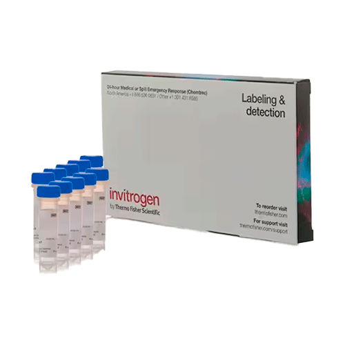 27381. COLORANTE FM 4-64 (N-(3-TRIETILAMONIOMPROPIL)-4-(6-(4-(DIETILAMINO) FENIL) HEXATRIETIL) PIRIDINIO DIBROMURO 10 X 100UG INVITROGEN