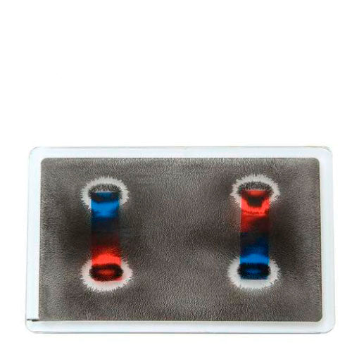 23730. APARATO DE LINEAS DE CAMPO MAGNETICO BIDIMENSIONAL 3B SCIENTIFIC
