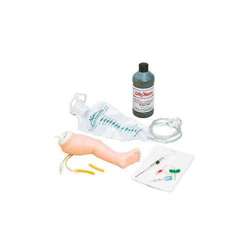 2497. MODELO DE BRAZO PEDIATRICO LIFE/FORM, 3B SCIENTIFIC